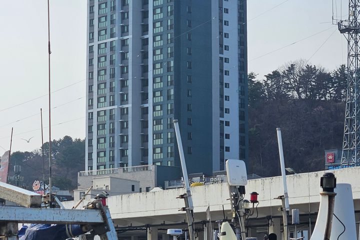 바다,해변,항공,요트 11번째 이미지
