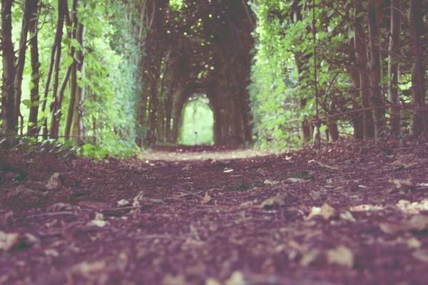 가나다라 5번째 이미지