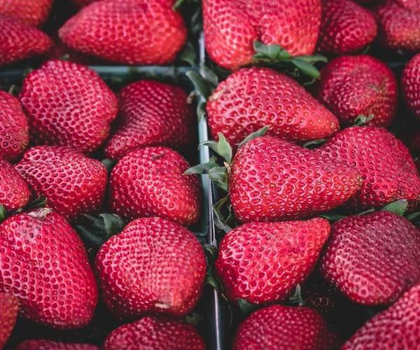 가나다라 3번째 이미지