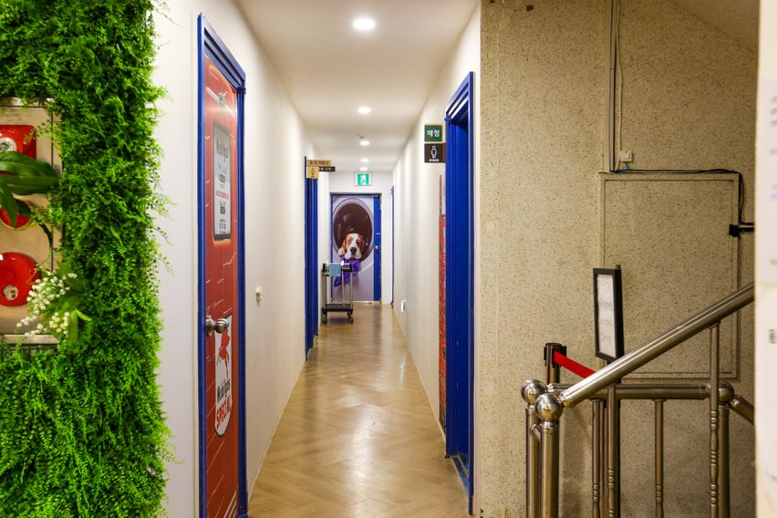 뒹굴뒹굴 올인원 숙소~ 12번째 이미지