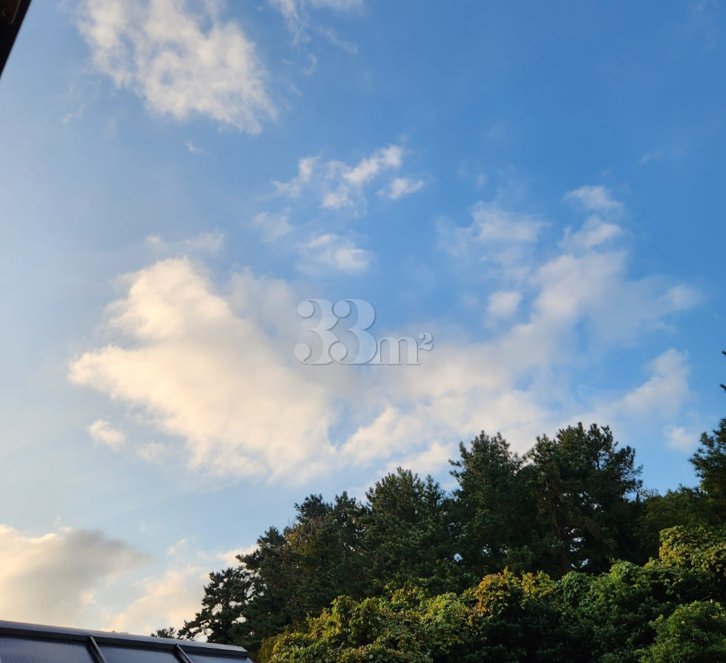 🌈애월 숲속 감성독채 13번째 이미지