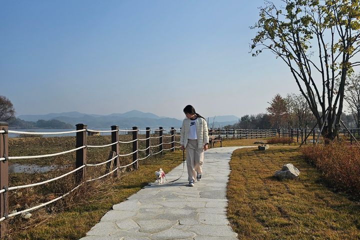 예산 예당호 출렁다리 2번째 이미지