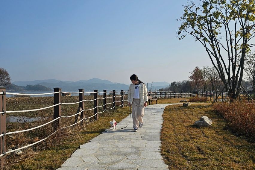 예산 예당호 출렁다리 2번째 이미지