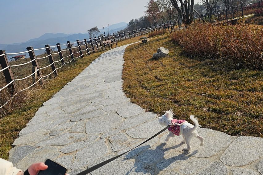 예산 예당호 출렁다리 3번째 이미지