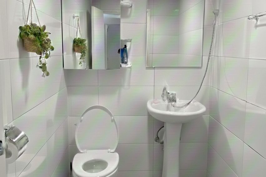 쁘띠3 10번째 이미지