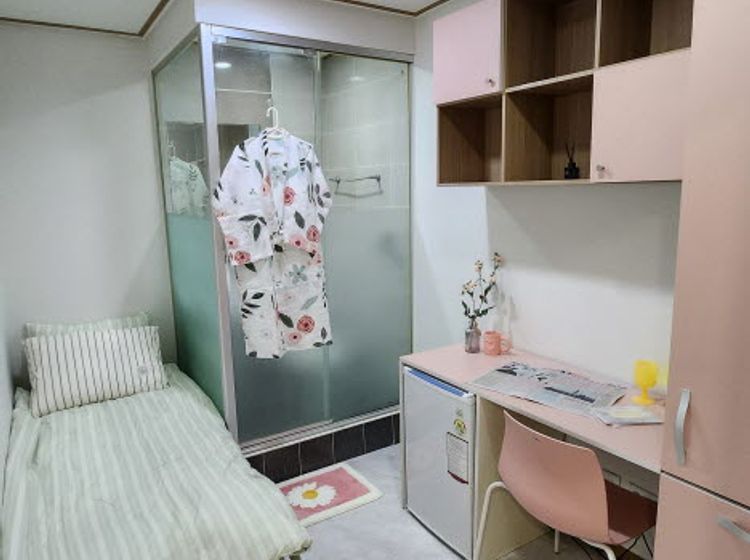 Standard 2번째 이미지