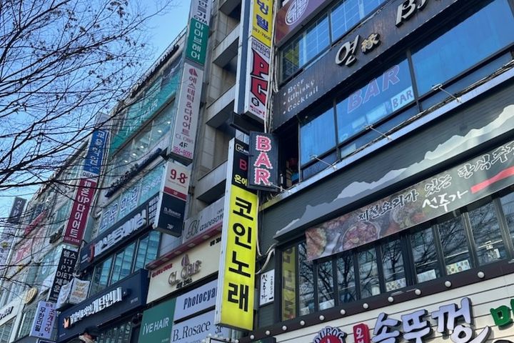 Standard 11번째 이미지