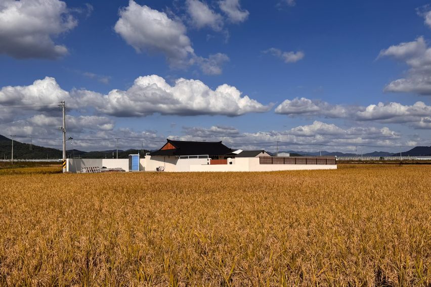 애견동반 가능한 독채 1번째 이미지