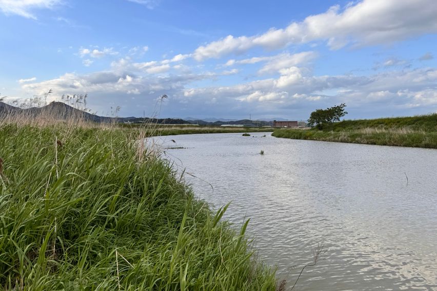애견동반 가능한 독채 18번째 이미지