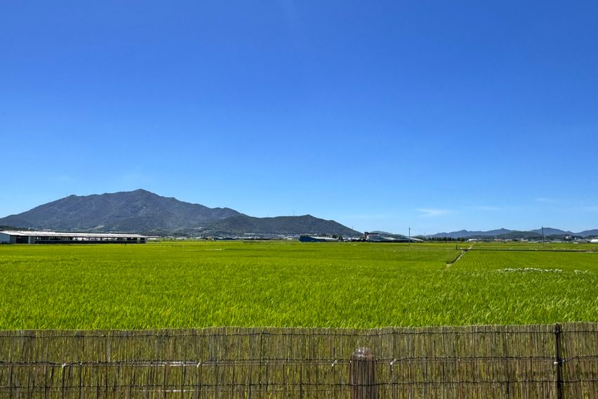 애견동반 가능한 독채 19번째 이미지