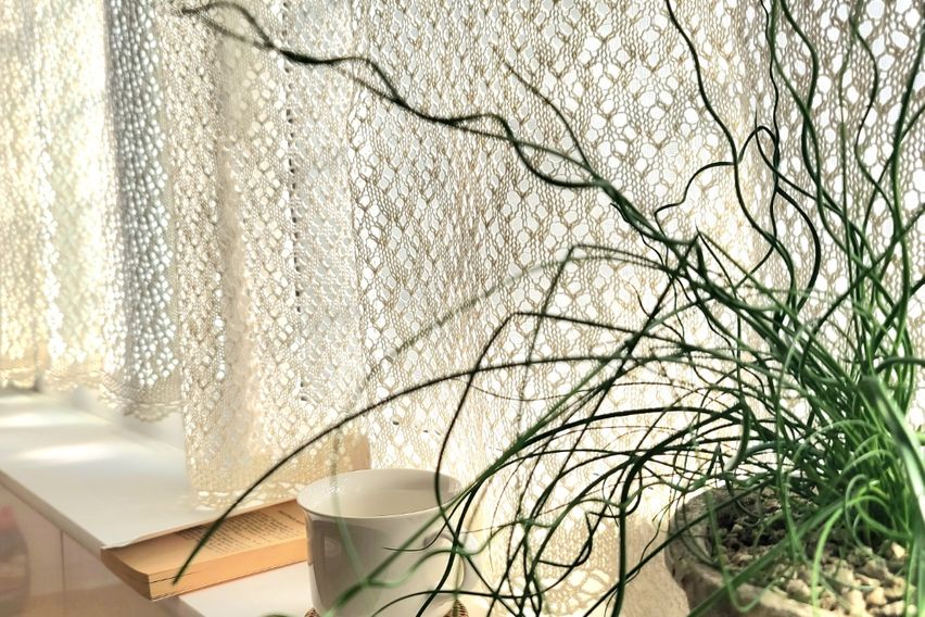 Angel Stay 7번째 이미지