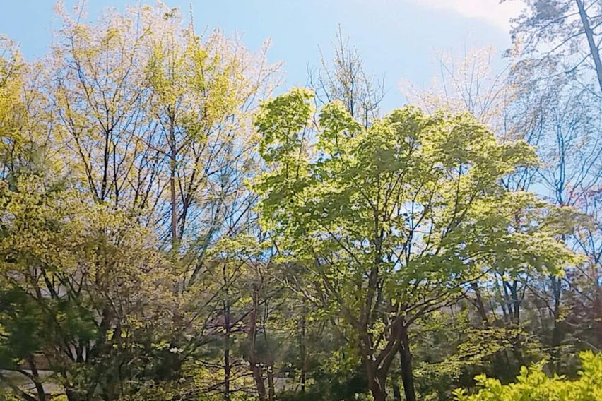 멋진 호수뷰 A 14번째 이미지