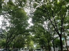 멋진 호수뷰 A 16번째 이미지