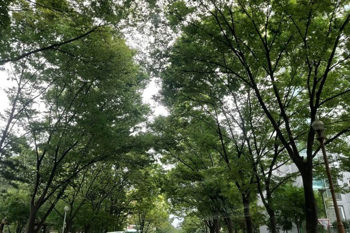 멋진 호수뷰 A 16번째 이미지