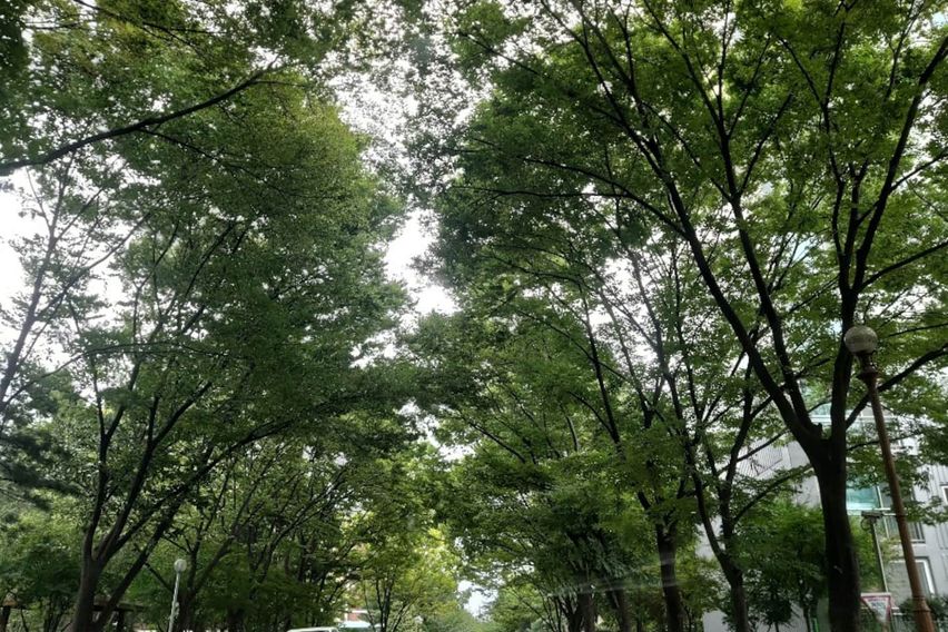 멋진 호수뷰 A 16번째 이미지