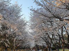 멋진 호수뷰 A 15번째 이미지