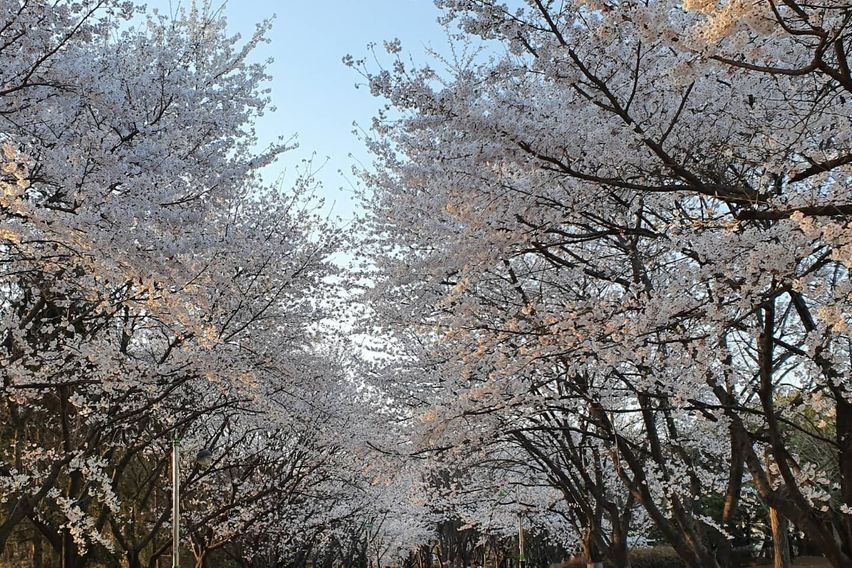 멋진 호수뷰 A 15번째 이미지