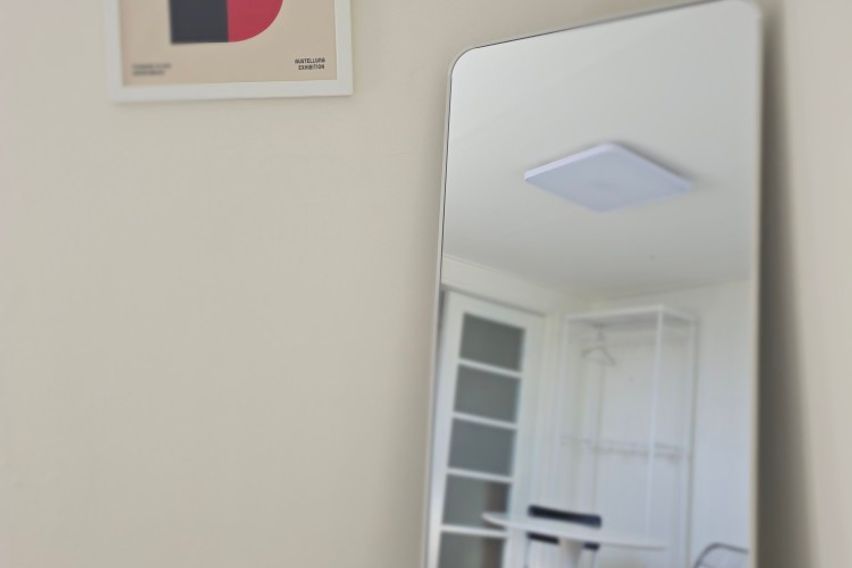 롯백성심당오픈특가🌿