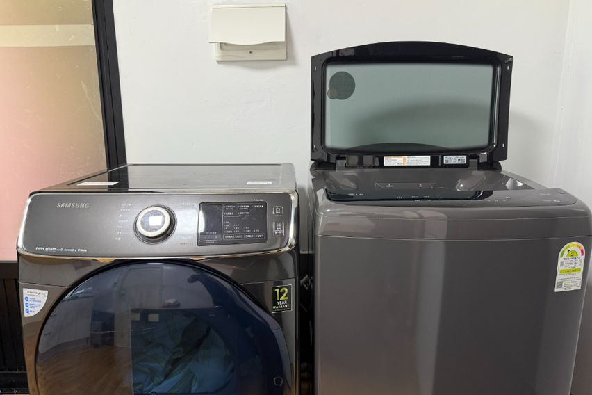 [서귀포]새소리 동백새 13번째 이미지