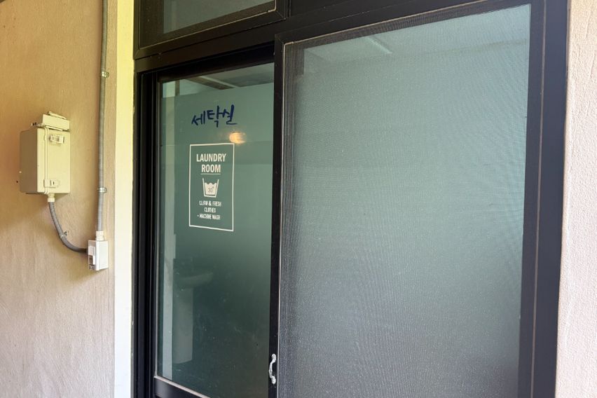 [서귀포]새소리 동백새 11번째 이미지