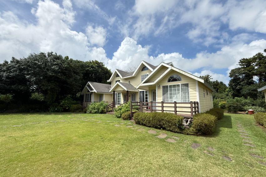 [서귀포]새소리 동백새 17번째 이미지