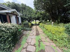 [서귀포]새소리 동백새 15번째 이미지
