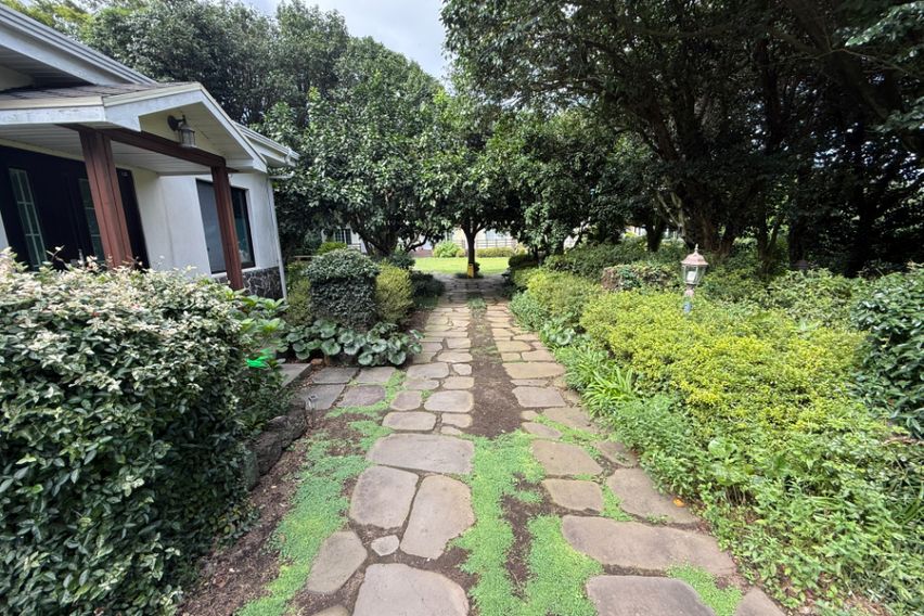 [서귀포]새소리 동백새 15번째 이미지