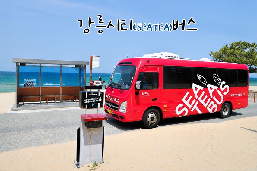 주문진 오션뷰 13층🌊 14번째 이미지