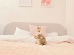La Belle 19번째 이미지
