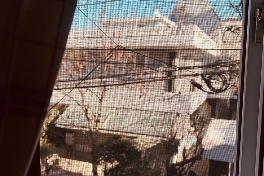 한남동 카페거리 위치 13번째 이미지