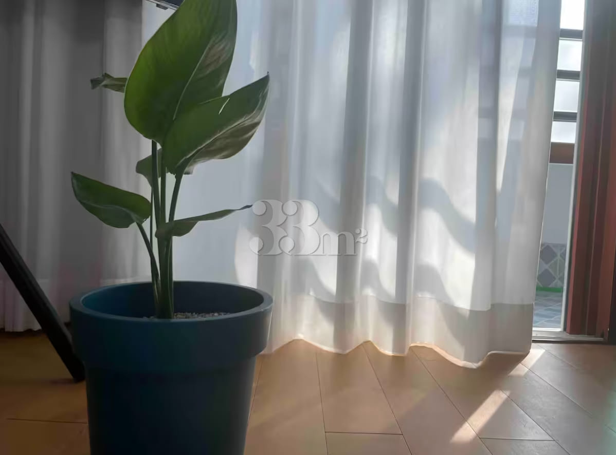 Cozy, fully furnished studio apartment in Yeo 5th image