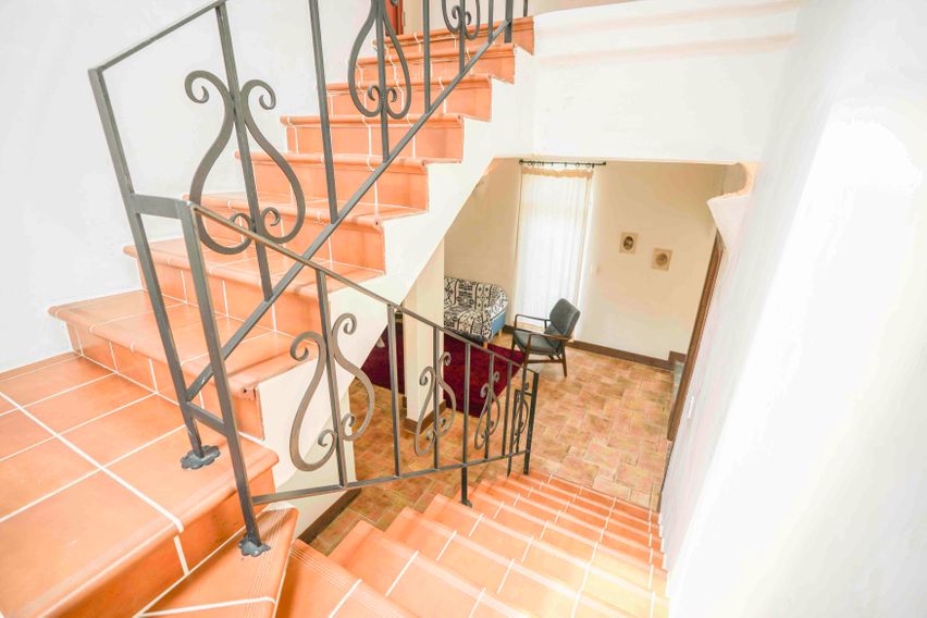 조안나 8번째 이미지