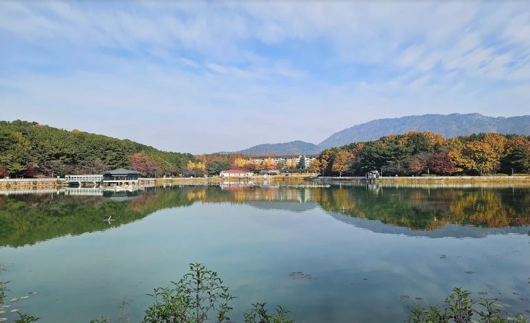 아늑한 방 13번째 이미지