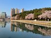 아늑한 방 15번째 이미지