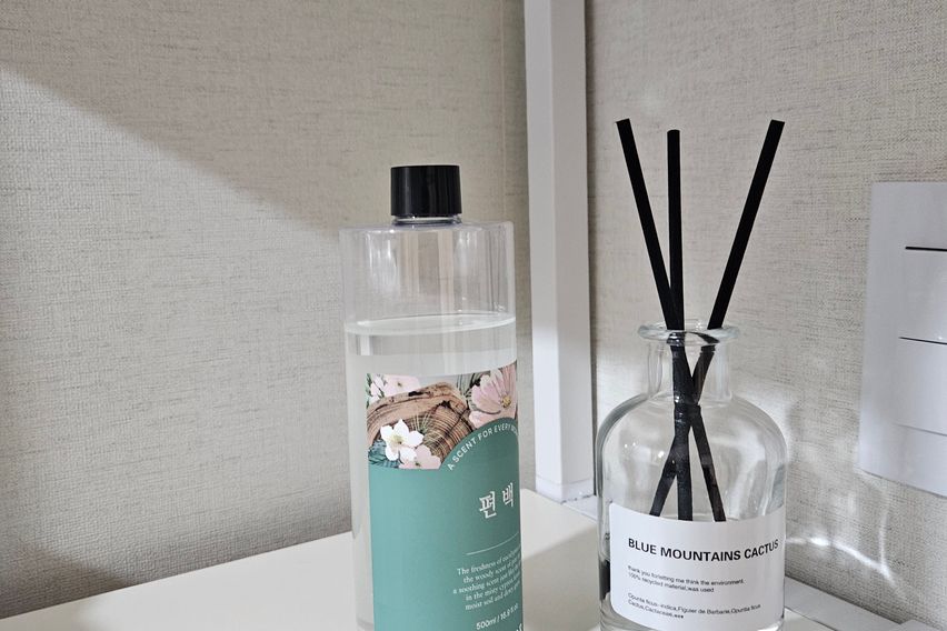 프리미엄 고고스테이 E