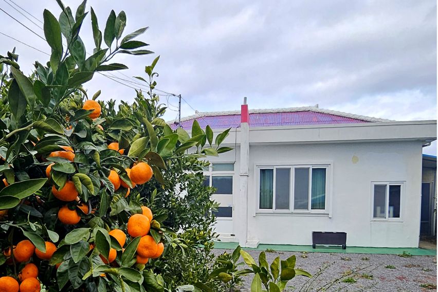 서귀포 귤밭마당 독채 2번째 이미지