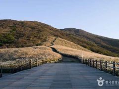 🏆울산 센트럴선경 61 14번째 이미지