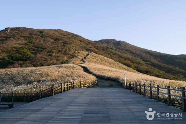 🏆울산 센트럴선경 61 14번째 이미지