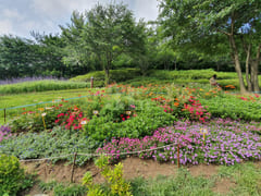 Two-room apartment near Hongje Station Exit 3 17th image