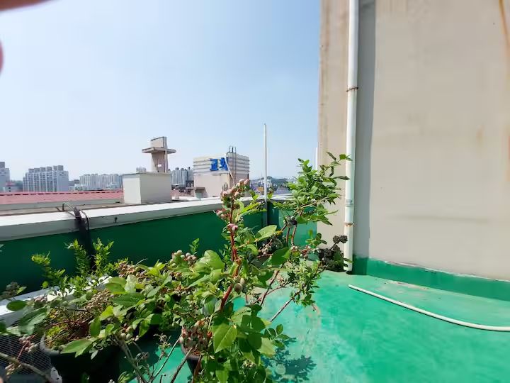 Cozy #502 11번째 이미지