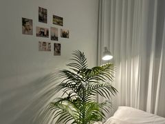 Henry House 2번째 이미지