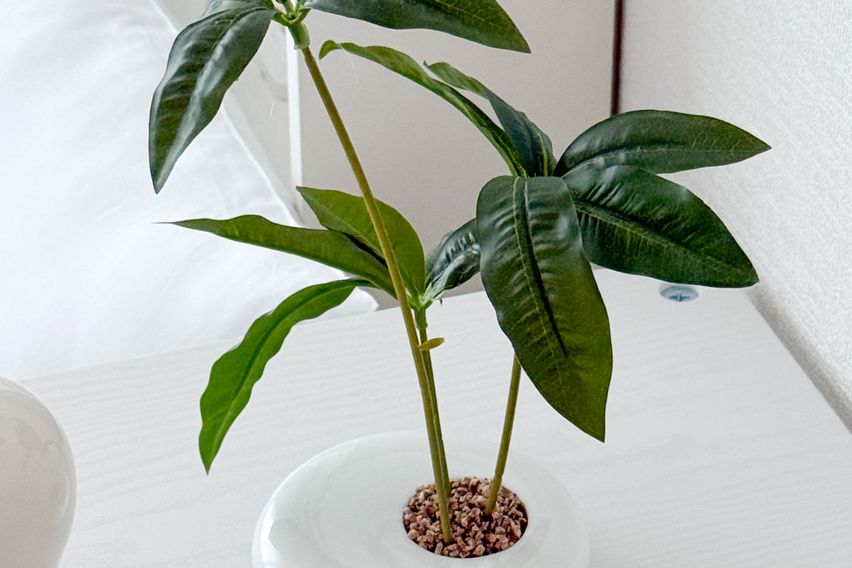 홍대입구,합정 풀옵션🤍 6번째 이미지