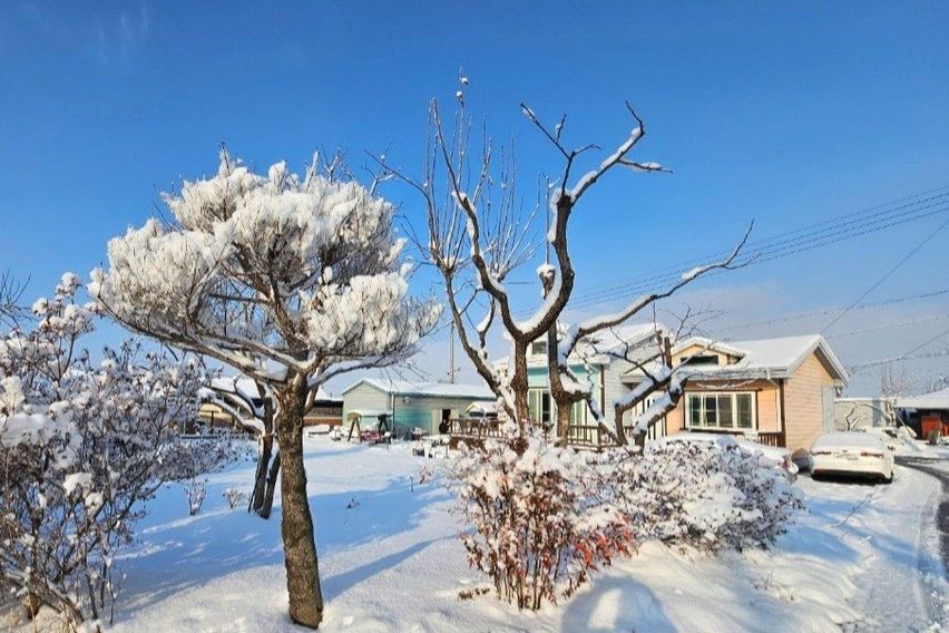 방1, 방2 10번째 이미지