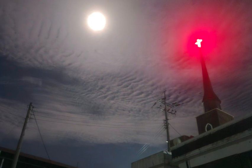 방1, 방2 11번째 이미지