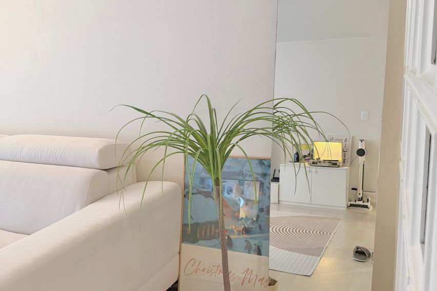 쉼;하우스🌻풀옵션 3룸 3번째 이미지