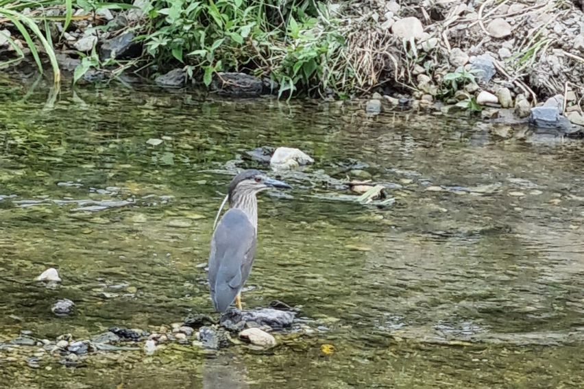 대전유성 쾌적한방 8번째 이미지