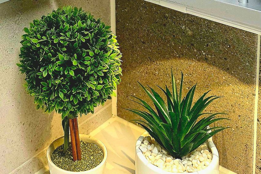 화성 동탄 스타즈호텔