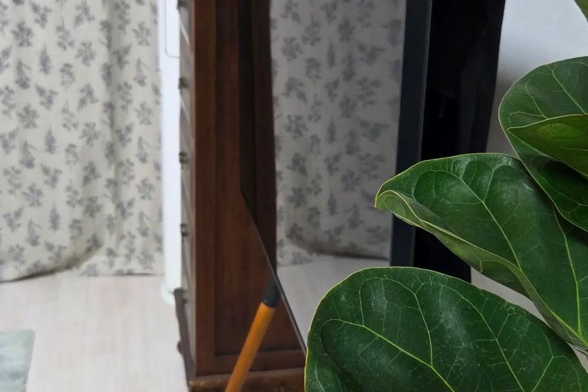 감꽃맨숀 5번째 이미지