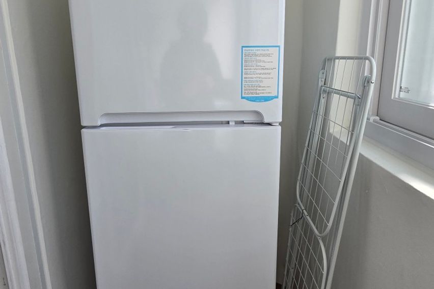 롯백성심당오픈특가🌿