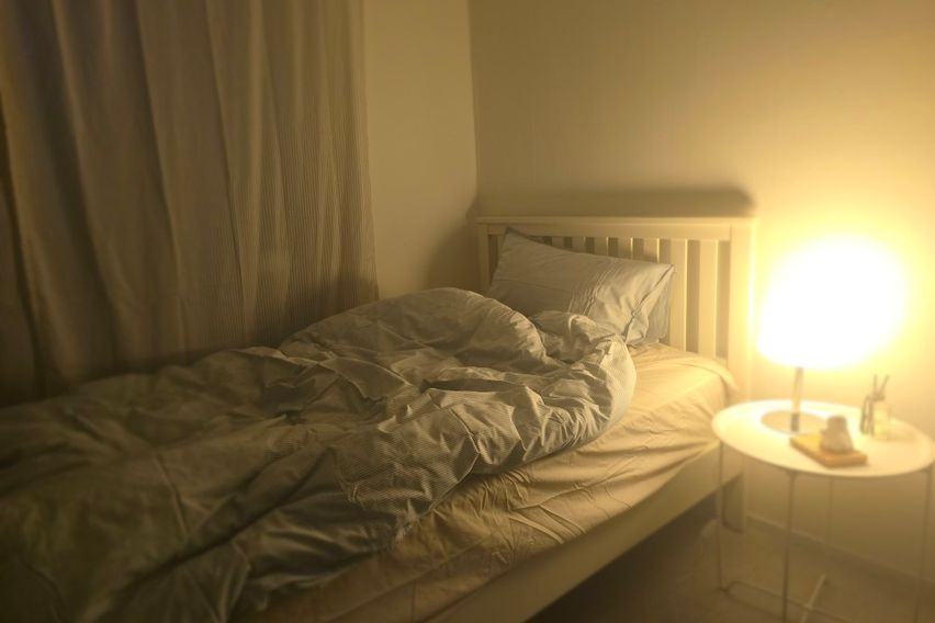 롯백성심당오픈특가🌿